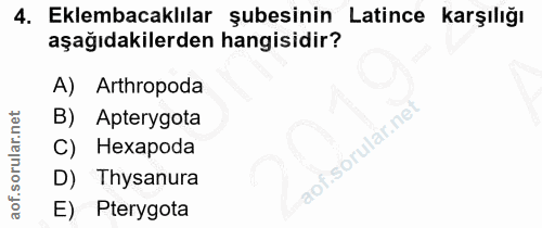 Soru 4