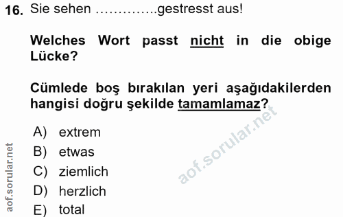 Soru 16