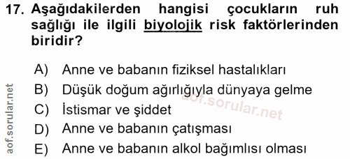 Soru 17