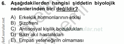 Soru 6