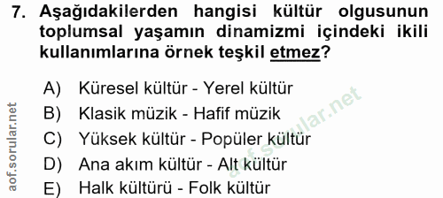 Soru 7