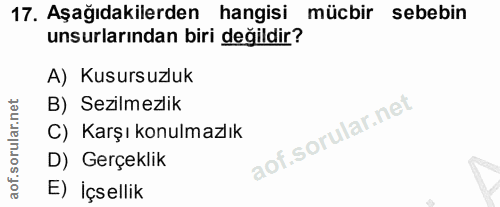 Soru 17