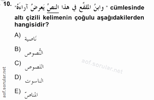 Soru 10
