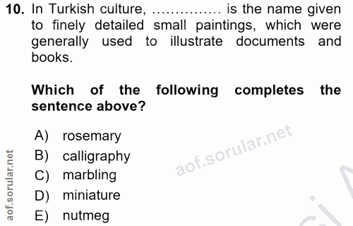 Soru 10
