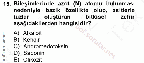 Soru 15