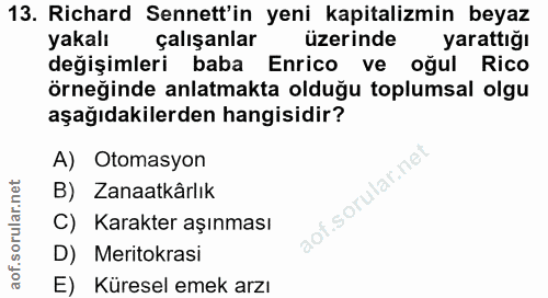 Soru 13