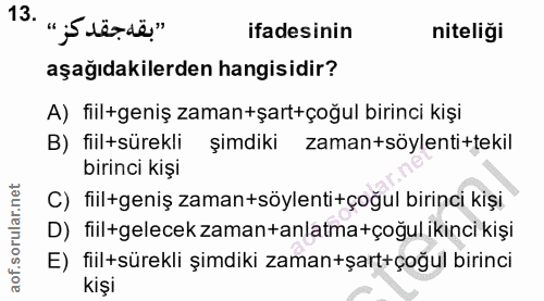 Soru 13