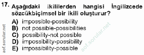 Soru 17
