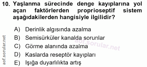 Soru 10