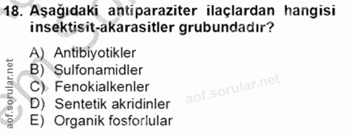Soru 18