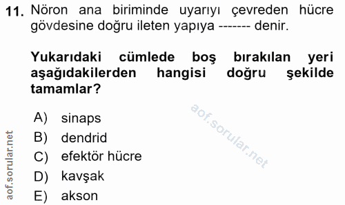 Soru 11
