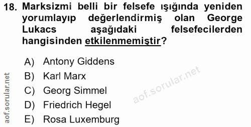 Soru 18