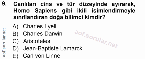 Soru 9