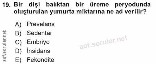 Soru 19