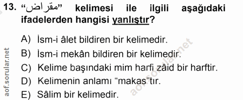 Soru 13
