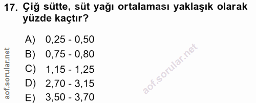 Soru 17