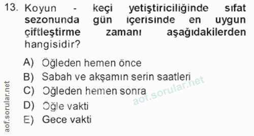 Soru 13