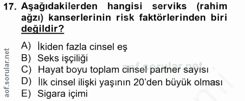 Soru 17