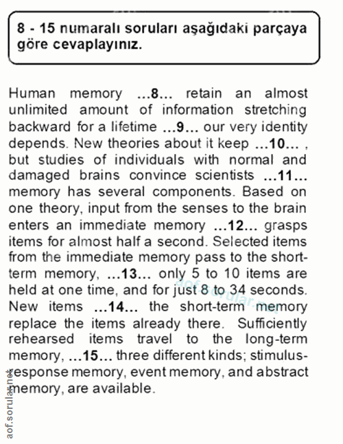 Soru 8