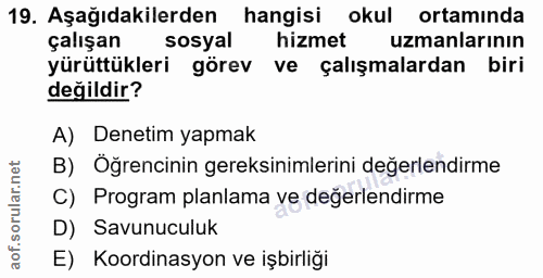 Soru 19