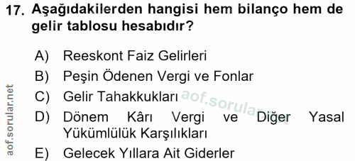 Soru 17