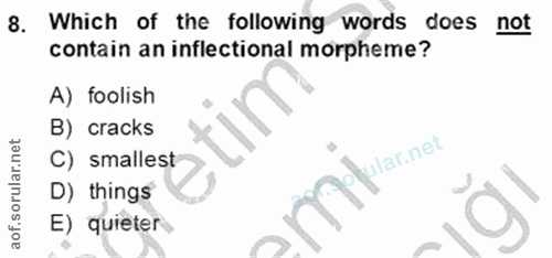 Soru 8