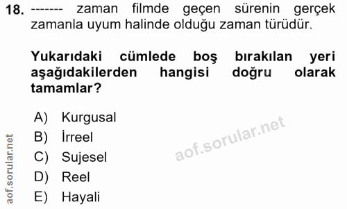 Soru 18