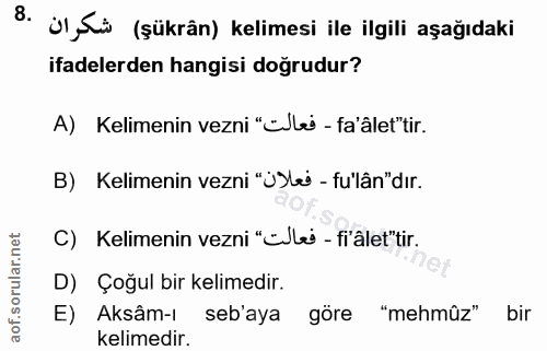 Soru 8