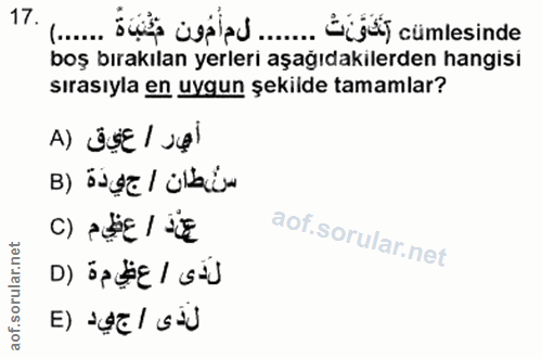 Soru 17