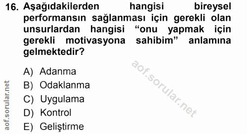 Soru 16