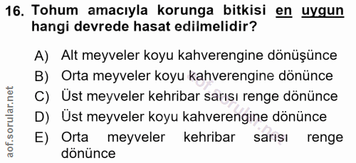 Soru 16