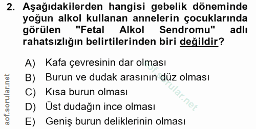 Soru 2