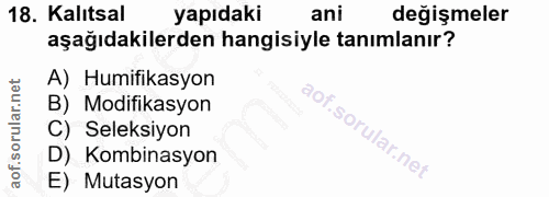 Soru 18
