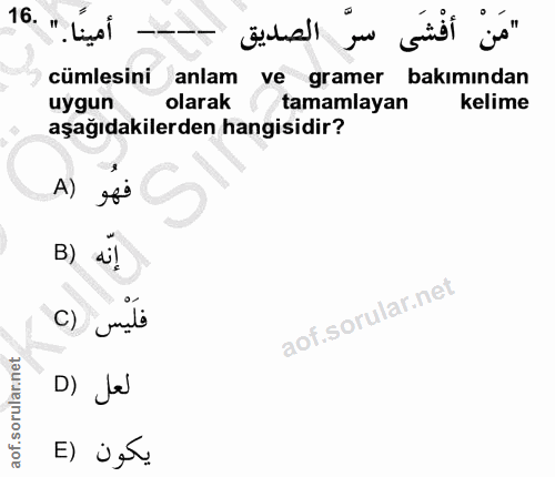 Soru 16