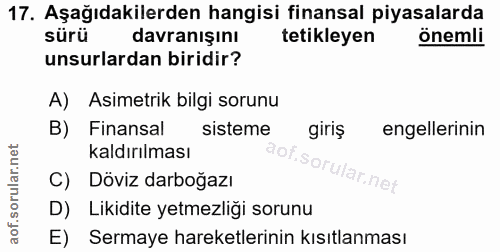 Soru 17