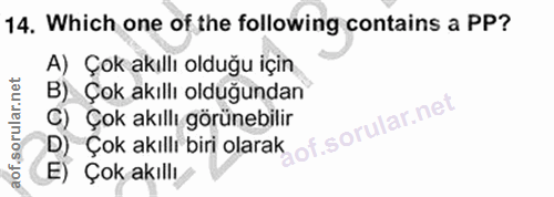 Soru 14