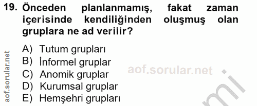 Soru 19