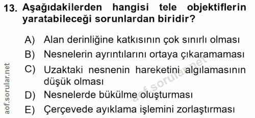 Soru 13