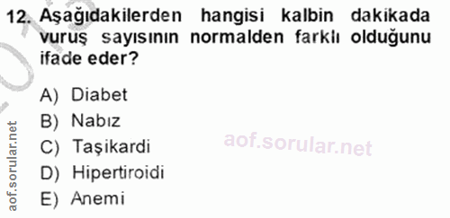 Soru 12