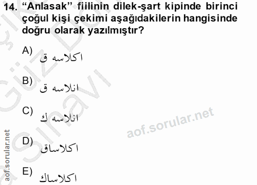 Soru 14