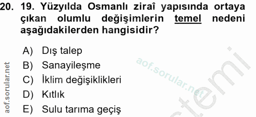 Soru 20