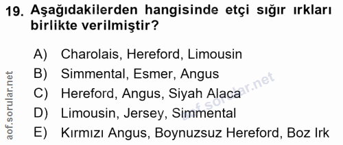 Soru 19