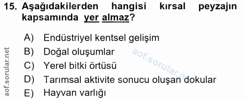 Soru 15