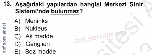 Soru 13