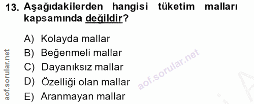 Soru 13