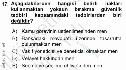 Soru 17