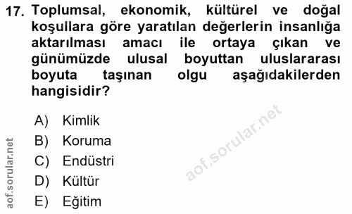 Soru 17