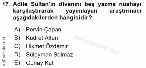 Soru 17