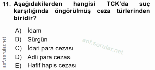 Soru 11