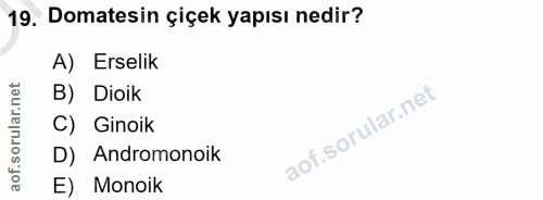 Soru 19